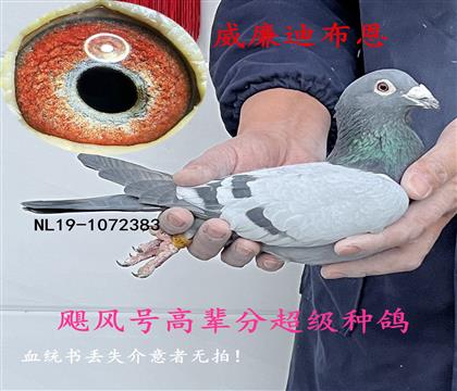 �������ڵϲ���ԭ��