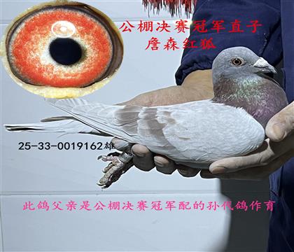 ����ھ�ֱ��