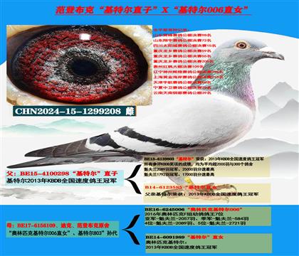 迪克 范登布克“基特尔”直子X“基特尔006”直女