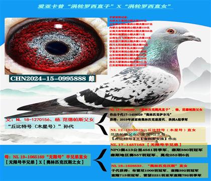 (重点推荐)爱亚卡普“涡轮罗西直子”X“涡轮罗西直女”