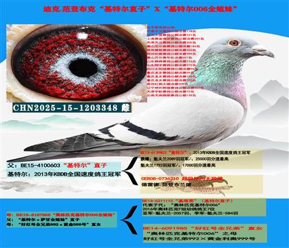 迪克 范登布克“基特尔”直子X“基特尔006”全姐妹