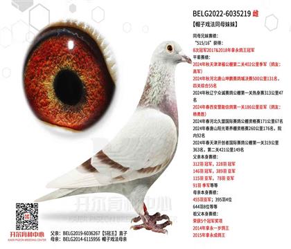 �����غ���ԭ�ᣬñ��Ϸ��515ͬĸ����