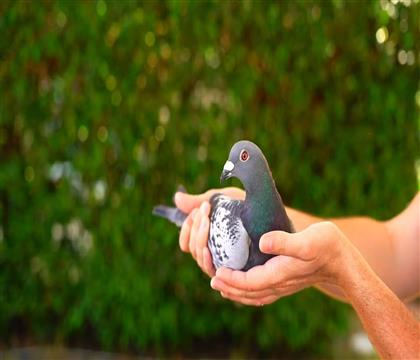 24������ž���53�������Թ������ھ�1��18�����