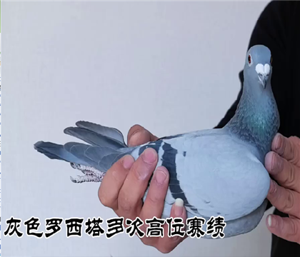 ��ɫ�����������괺����һ���Ӵ��ͻ��������һ��һ