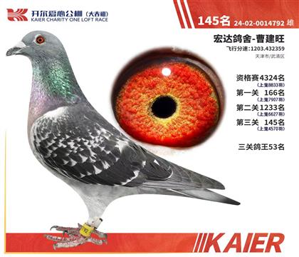 ��������145�������ظ���53����400����ȫ�̶���