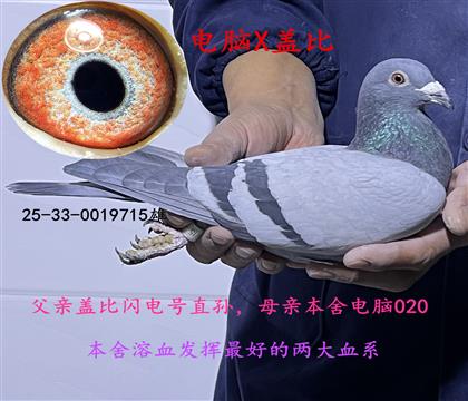 ����X�Ǳ�