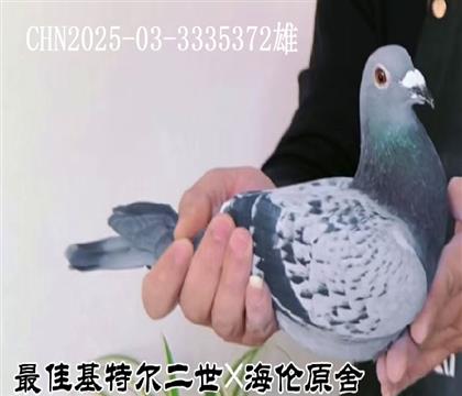 ��ѻ��ض�����ֱ���亣��ԭ���������۸�372