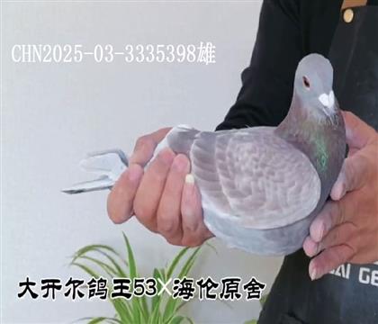 �󿪶�145���亣��ԭ���������۸�398