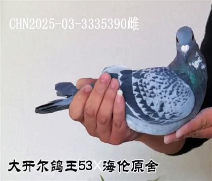 �󿪶�145���亣��ԭ���������Ƹ�390