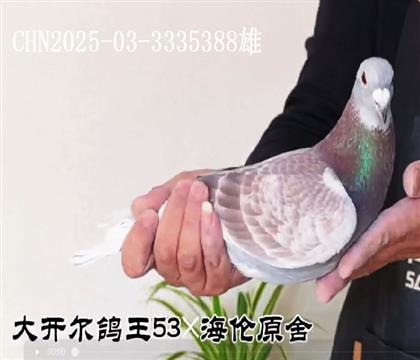 �󿪶�145���亣��ԭ�ᣬ�۸�388