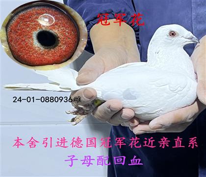 �¹��ھ���