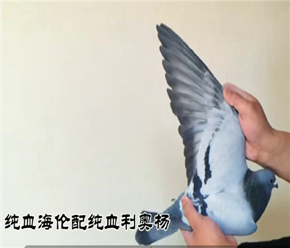 �������������������۸�378