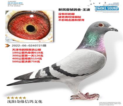 ����Ҽ̖���ᣨ�������������ĸ��