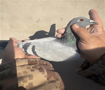 ��ƿ�X������X��ѻ��ض�