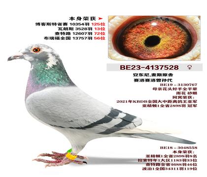 ������.��˹ԭ��-��������˹3528��13λ