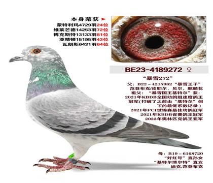 ��ѩ�������ض� ��ѩ271  �����ٻ�4729��24λ