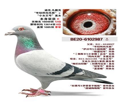 �Ͽ�.�����ˡ����������޵С�X��СŮ���š�ֱŮ