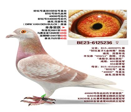 �Ͽ�.���ǲ���-�ú��X40000�ź��