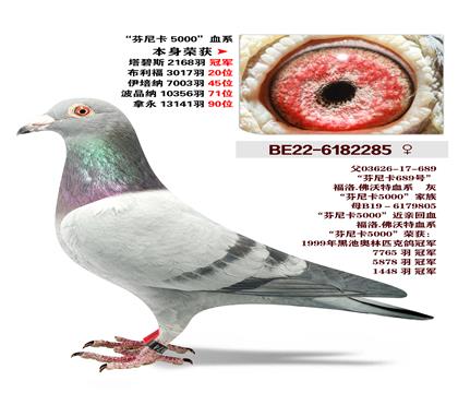 ���Ῠ5000Ѫϵ-����˹2168��ھ�