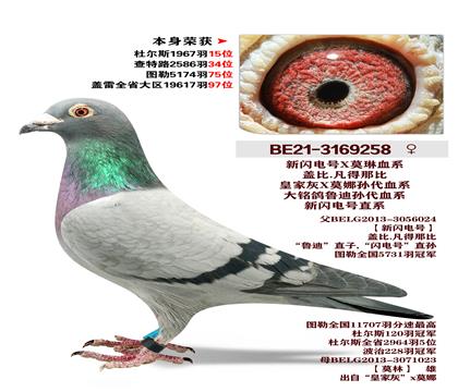 �Ǳ�.�����Ǳ� �������XĪ��Ѫϵ