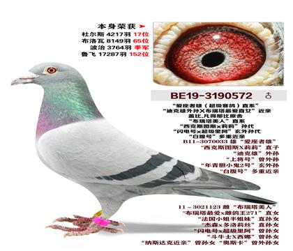 �Ǳ�.�����Ǳ�-����������ֱϵ