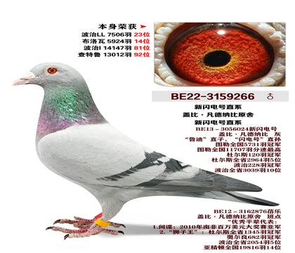 �Ǳ�.�����Ǳ�-�������ֱϵ