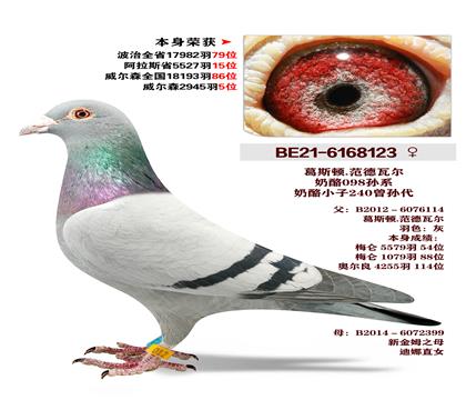 ��˹��.�����߶�ԭ�� �����ٻ�2945��5λ