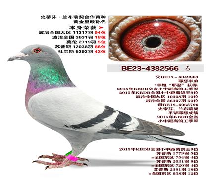 ʷ�ٷ�.����������������-�ƽ���ŷ���