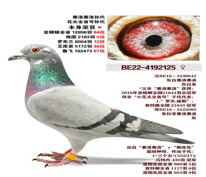 �������-��ͷȫʡ�����