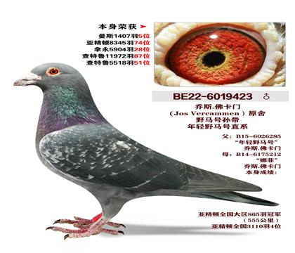 ��˹.����ԭ�ᡰҰ���š���� �����ٻ�1407��5λ