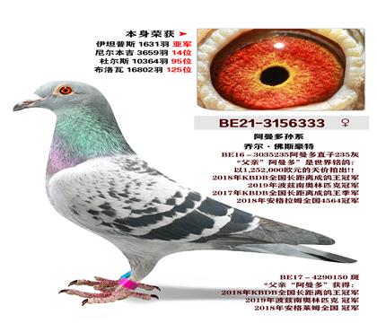 �Ƕ�.���º���-��������ϵ