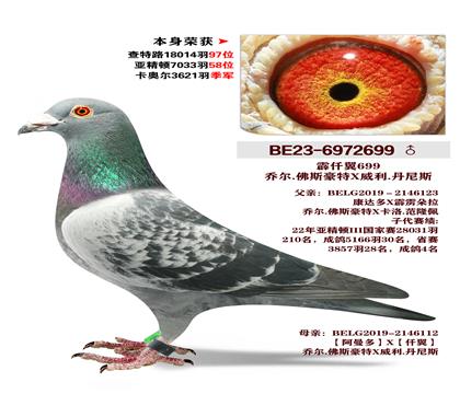 �Ƕ�.��˹����X����.����˹