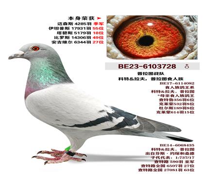 ����ͼ-ʳ����.����-��ɭ˹4285�𼾾�