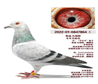 ³��.����˹��ţȮ���