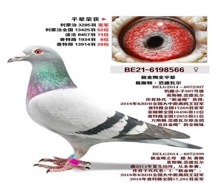 ��˹��.�����߶�ԭ��-�½�ķȫƽ��