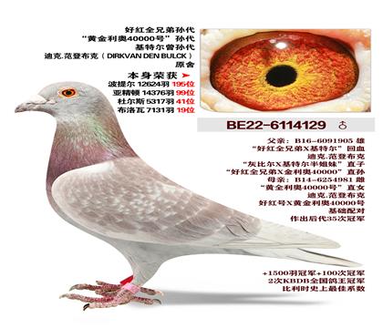 �ú�ȫ�ֵ����-�Ͽ�.���ǲ���ԭ��