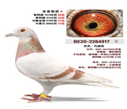 �ܷ򡤷��¿� �����ٻ�6002��12λ