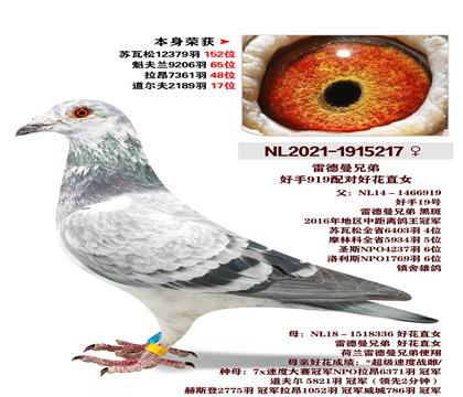 �׵����ֵܺ���919��Ժû�ֱŮ�����ٻ�7361��48λ