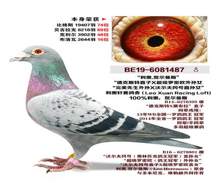 ����.�ն���˹-������������