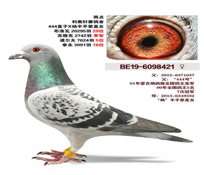 ������������ 444ֱ��X���ƽ��ֱŮ �����ɼ�2742�𼾾�