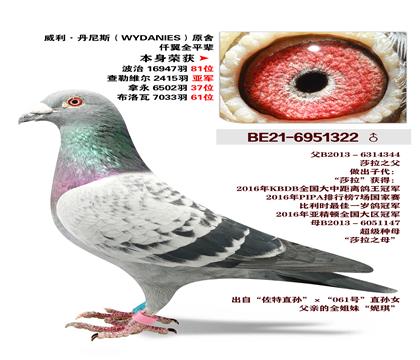 ����.����˹ԭ��-Ǫ��ȫƽ��