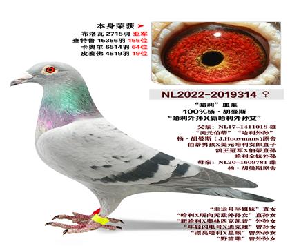 ��.����˹-��������X�¹�������Ů