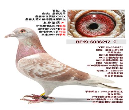 ղɭԭ�� �����ٻ�16585���Ǿ�