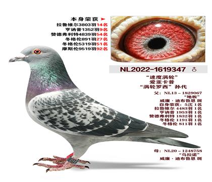 ���ǿ��ա��ٶ����֡� �����ٻ�3803��14��