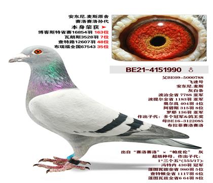 ������.��˹ԭ��-�������