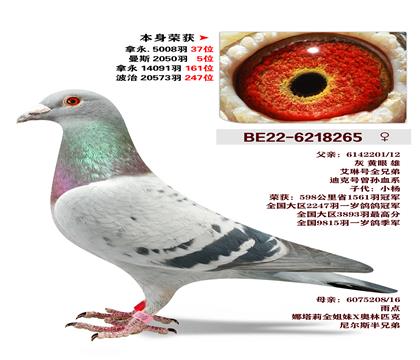 �����ٻ�-��˹2050��5λ