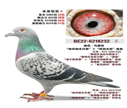 �Ͽ�.������-��ũ��X�����޵�Ѫϵ