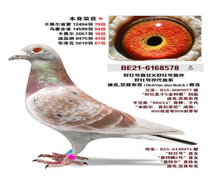 �Ͽ�.���ǲ���ԭ��-�ú�ֱŮX�ú�ֱ��