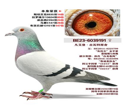 �����ǡ�������ԭ�� �����ٻ�6935��14λ