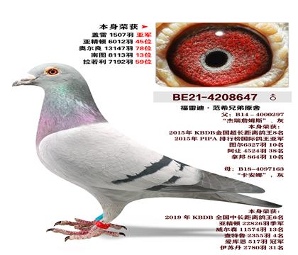 ���׵�.�����ֵ�ԭ��-��������1507���Ǿ�